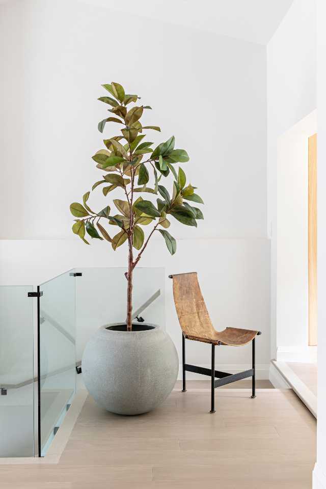 light oak wood flooring in sitting area at top of stairs with big potted plant